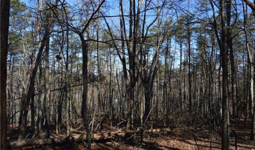 Photo #5 of Tract C NC Highway 89, Danbury, NC 21.0 acres