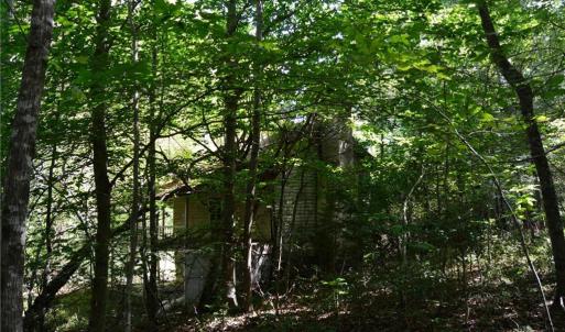 Photo #30 of Tract C NC Highway 89, Danbury, NC 21.0 acres