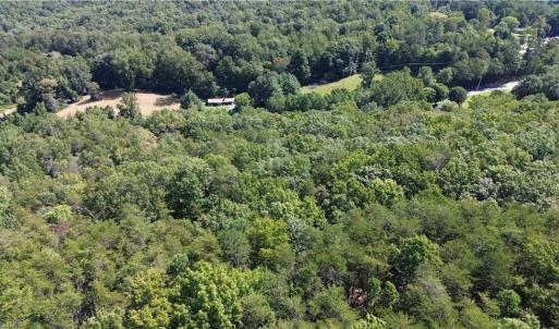 Photo #10 of Tract C NC Highway 89, Danbury, NC 21.0 acres