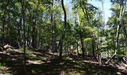 Photo #18 of Tract C NC Highway 89, Danbury, NC 21.0 acres