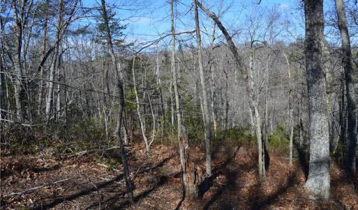 Photo #3 of Tract C NC Highway 89, Danbury, NC 21.0 acres