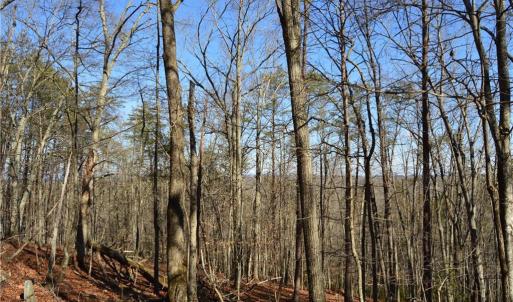 Photo #9 of Tract C NC Highway 89, Danbury, NC 21.0 acres