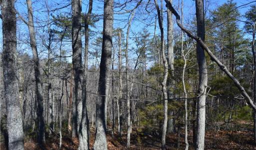 Photo #4 of Tract C NC Highway 89, Danbury, NC 21.0 acres