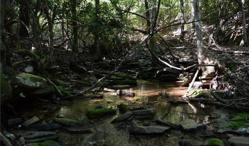 Photo #27 of Tract C NC Highway 89, Danbury, NC 21.0 acres