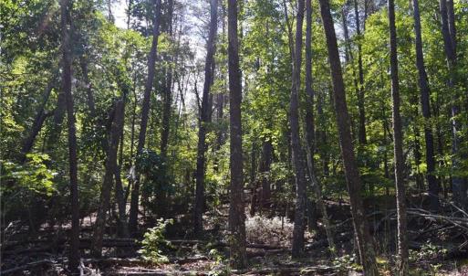 Photo #22 of Tract C NC Highway 89, Danbury, NC 21.0 acres
