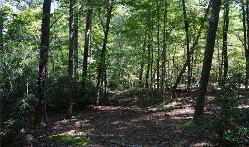 Photo #20 of Tract C NC Highway 89, Danbury, NC 21.0 acres