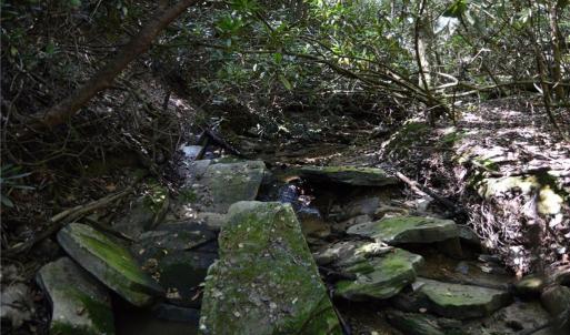 Photo #24 of Tract C NC Highway 89, Danbury, NC 21.0 acres