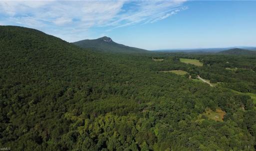 Photo #23 of Tract E Hanging Rock Forest, Danbury, NC 10.8 acres