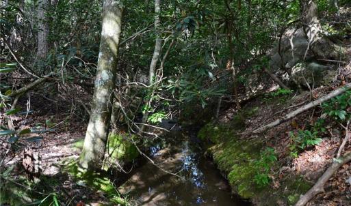 Photo #17 of Tract E Hanging Rock Forest, Danbury, NC 10.8 acres