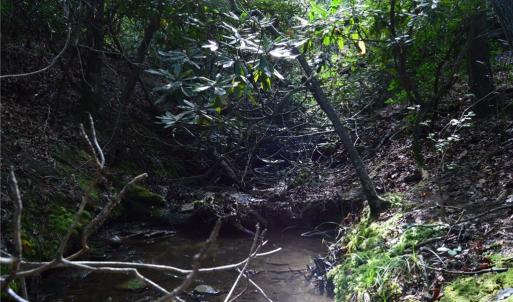 Photo #16 of Tract E Hanging Rock Forest, Danbury, NC 10.8 acres