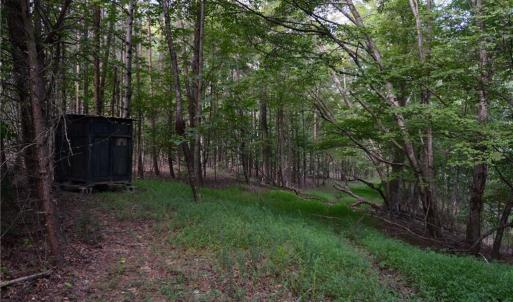 Photo #9 of Tract E Hanging Rock Forest, Danbury, NC 10.8 acres