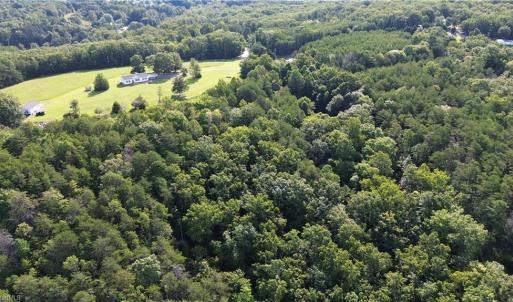 Photo #21 of Tract E Hanging Rock Forest, Danbury, NC 10.8 acres