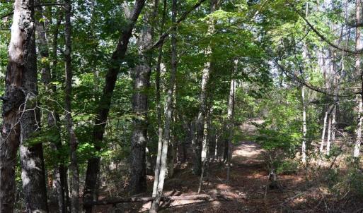 Photo #12 of Tract E Hanging Rock Forest, Danbury, NC 10.8 acres
