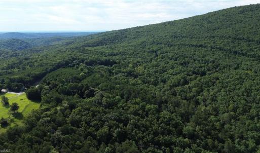Photo #22 of Tract E Hanging Rock Forest, Danbury, NC 10.8 acres