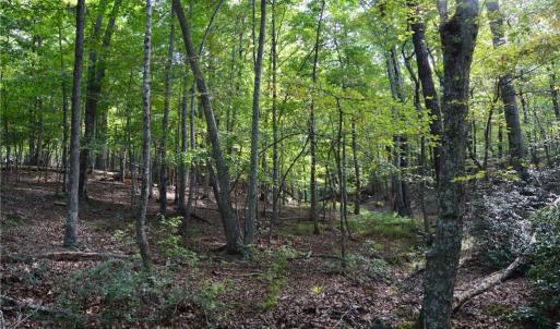 Photo #1 of Tract E Hanging Rock Forest, Danbury, NC 10.8 acres