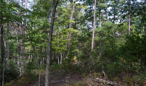 Photo #15 of Tract E Hanging Rock Forest, Danbury, NC 10.8 acres
