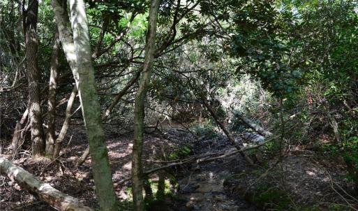 Photo #14 of Tract E Hanging Rock Forest, Danbury, NC 10.8 acres