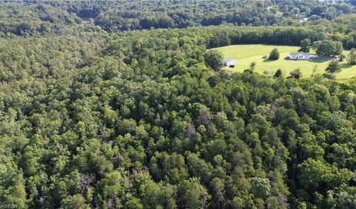 Photo #16 of Tract D Hanging Rock Forest, Danbury, NC 14.0 acres