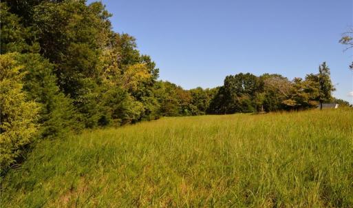 Photo #3 of Tract D Hanging Rock Forest, Danbury, NC 14.0 acres