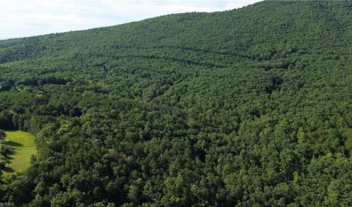 Photo #18 of Tract D Hanging Rock Forest, Danbury, NC 14.0 acres