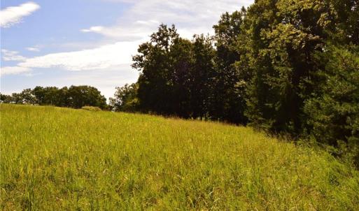 Photo #2 of Tract D Hanging Rock Forest, Danbury, NC 14.0 acres
