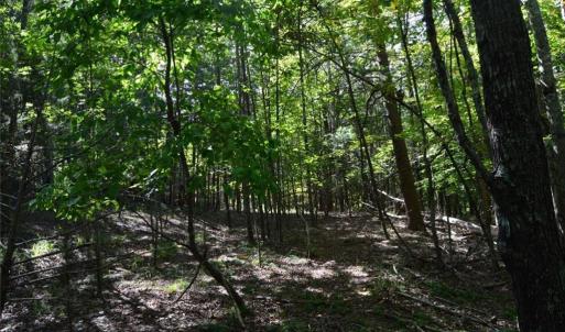 Photo #6 of Tract D Hanging Rock Forest, Danbury, NC 14.0 acres