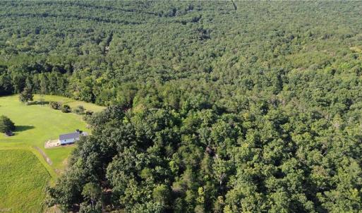 Photo #17 of Tract D Hanging Rock Forest, Danbury, NC 14.0 acres