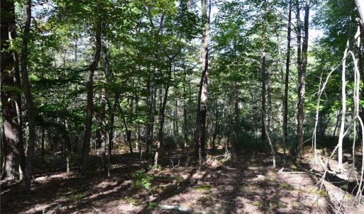Photo #9 of Tract D Hanging Rock Forest, Danbury, NC 14.0 acres