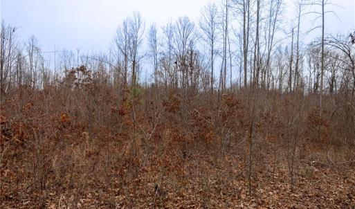 Photo #13 of Bill Medlin, Lexington, NC 4.9 acres