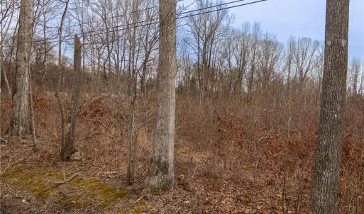 Photo #12 of Bill Medlin, Lexington, NC 4.9 acres