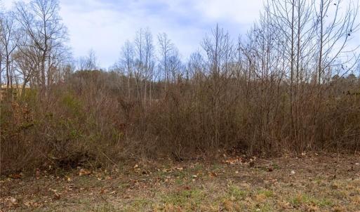 Photo #9 of Bill Medlin, Lexington, NC 4.9 acres