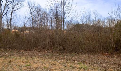 Photo #10 of Bill Medlin, Lexington, NC 4.9 acres
