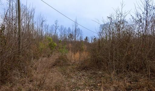 Photo #11 of Bill Medlin, Lexington, NC 4.9 acres
