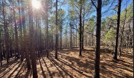 Photo #1 of NC highway 86, Prospect Hill, NC 10.8 acres