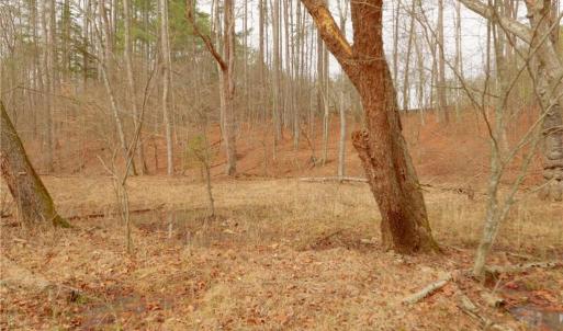 Photo #17 of 3351 NC Highway 66, Westfield, NC 16.5 acres