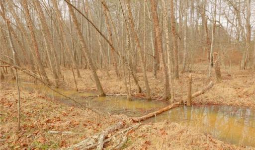 Photo #16 of 3351 NC Highway 66, Westfield, NC 16.5 acres