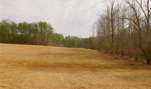Photo #10 of 3351 NC Highway 66, Westfield, NC 16.5 acres