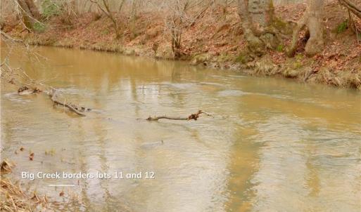 Photo #12 of 3362 NC Highway 66, Westfield, NC 7.2 acres