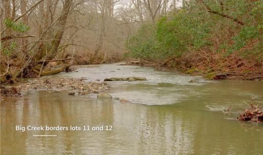 Photo #14 of 3362 NC Highway 66, Westfield, NC 7.2 acres