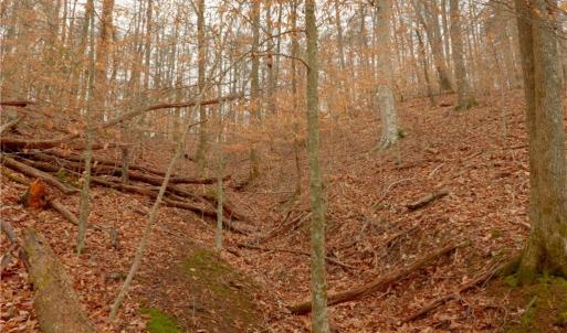 Photo #11 of 3362 NC Highway 66, Westfield, NC 7.2 acres