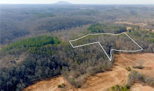 Photo #4 of 3362 NC Highway 66, Westfield, NC 7.2 acres
