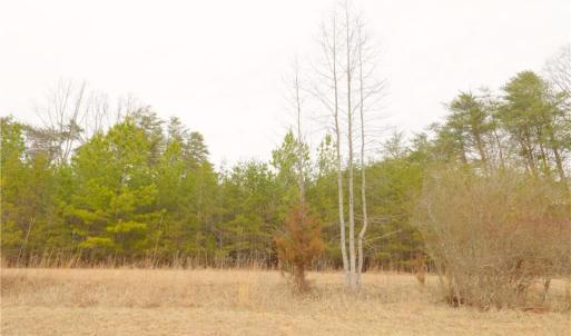 Photo #17 of 3364 NC Highway 66, Westfield, NC 17.5 acres