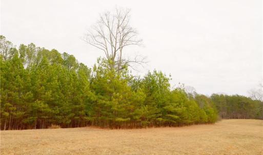 Photo #16 of 3364 NC Highway 66, Westfield, NC 17.5 acres