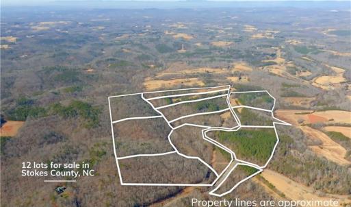 Photo #22 of 3364 NC Highway 66, Westfield, NC 17.5 acres