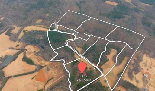 Photo #6 of 3364 NC Highway 66, Westfield, NC 17.7 acres