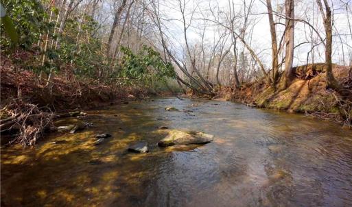 Photo #7 of 3364 NC Highway 66, Westfield, NC 17.7 acres