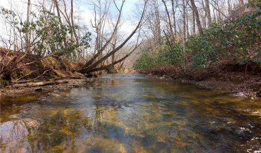 Photo #3 of 3364 NC Highway 66, Westfield, NC 17.7 acres