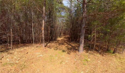 Photo #11 of 3364 NC Highway 66, Westfield, NC 17.7 acres