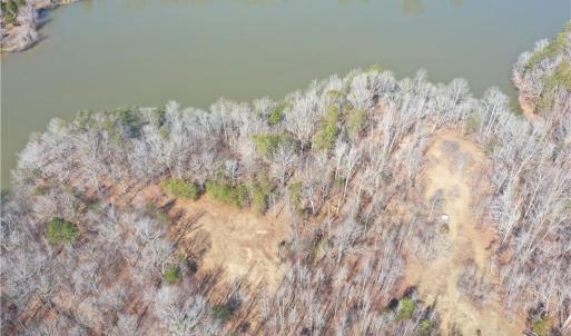 Photo #7 of Lake Farm, Yanceyville, NC 11.3 acres