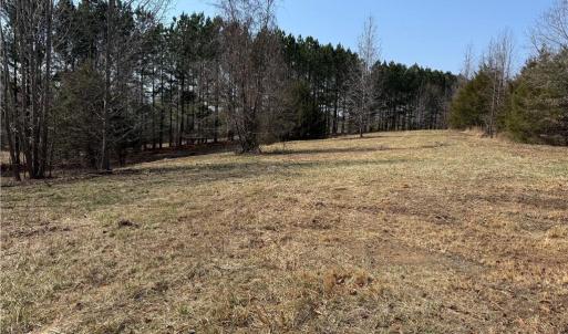 Photo #3 of Lake Farm, Yanceyville, NC 11.3 acres